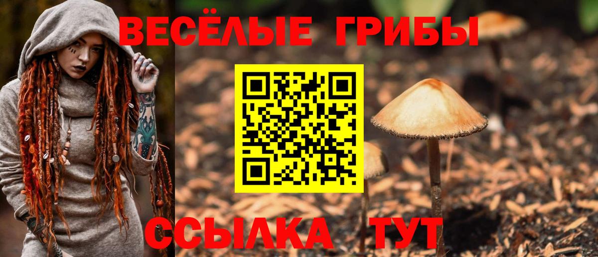 Конаково  Галлюциногенные грибы Magic Shrooms  Вход с VPN 